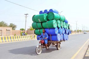 A motorcyclist transports goats in a large wicker basket balanced on the back of his motorcycle while heading to a local livestock market, posing a road safety risk on a city road