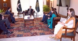 Chairman Senate Syed Yousaf Raza Gilani meets Humza Tabani, Chairman of Tabani Group, along with a delegation led by Xu Xiang, Chairman of SDHS, and Country Director Wang Zhenrong, at Parliament House