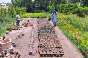 Workers watering and arranging potted saplings at a local plant nursery, preparing ornamental and seasonal plants for sale during the monsoon plantation season in the city.