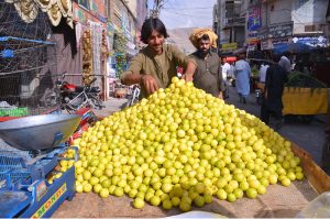 A vendor decorates freshly harvested date crops on his push cart, marking the start of the season and attracting buyers amid rising demand