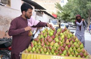 A street vendor decorates fresh pears at his roadside stall while waiting for customers on Joint Road in the provincial capital.