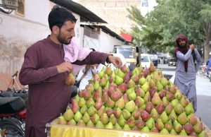 A street vendor decorates fresh pears at his roadside stall while waiting for customers on Joint Road in the provincial capital.