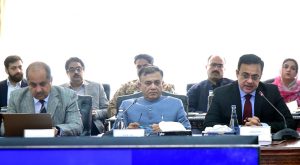 Federal Minister for Economic Affairs Ahad Cheema and Adviser to the Prime Minister Dr. Tauqeer Shah co-chair the Secretaries' Committee meeting