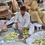 A vendor slices mangoes to prepare pickle at Sabzi Mandi