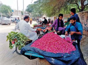 A motorcyclist buying rose petals from a roadside stall.