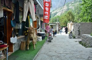 Tourists visit the historic Altit Fort, an architectural marvel dating back more than 1,100 years, in Altit town, Hunza Valley. The centuries-old heritage site, carefully preserved by local authorities, attracts both domestic and international visitors.