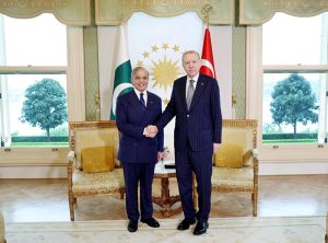 The President of Turkiye Recep Tayyip Erdogan and the Prime Minister of Pakistan Muhammad Shehbaz Sharif meeting at Vahdateen Palace