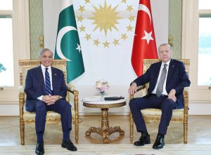 The President of Turkiye Recep Tayyip Erdogan and the Prime Minister of Pakistan Muhammad Shehbaz Sharif meeting at Vahdateen Palace