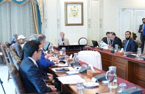 Prime Minister Muhammad Shehbaz Sharif chairs a meeting regarding Danish Schools.
