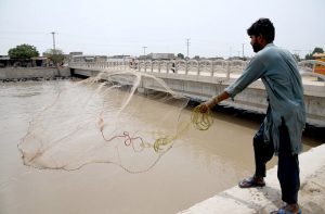 A fisherman casts fishing net into the Rice Canal to catch fish.