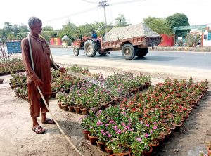 A gardener watering flowers and plants at a plant nursery point in the city.