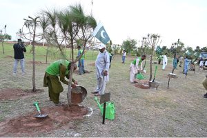 Students plant a sapling during the Tree Plantation Drive organized by the Clean & Green Islamabad Movement at Parade Ground in the federal capital