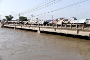 A large number of handcarts parked under makeshift shades on the bridge over the Rice Canal near the Old Bus Stand obstruct the flow of traffic, drawing attention to the need for corrective measures by the concerned authorities