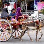 A gypsy family on the way on donkey cart at Qaim Shah Bukhari Road