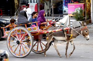 A gypsy family on the way on donkey cart at Qaim Shah Bukhari Road