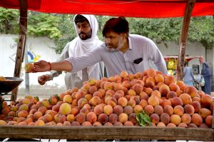 A customer purchases dried apricots from a roadside vendor at Meezan Chowk in the provincial capital