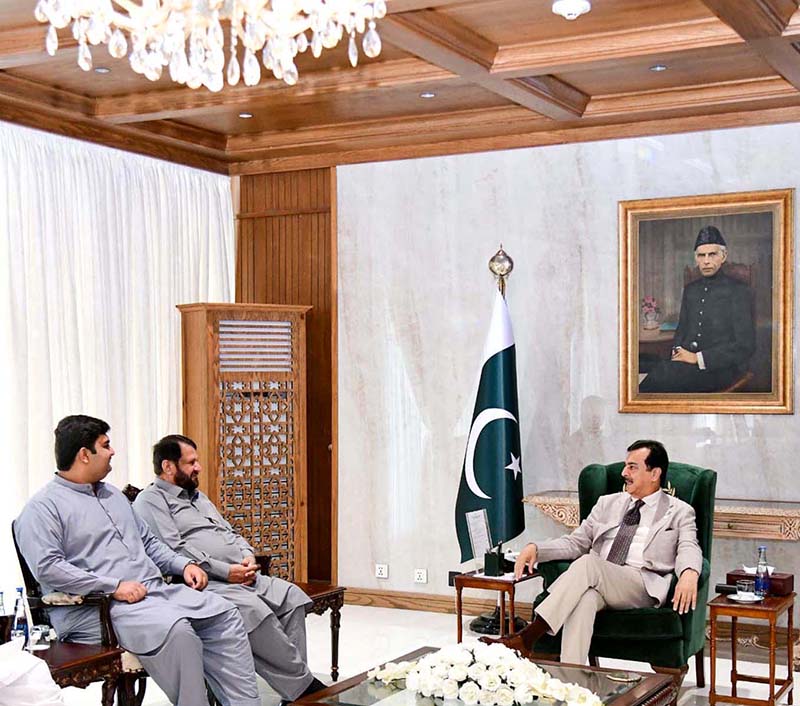 Acting President Syed Yousuf Raza Gilani in a meeting with former MPA Mian Jhangir Pirzada Bhutta at Aiwan-e-Sadr