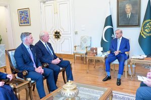 A delegation of the businessmen from the United States of America meet with Prime Minister Muhammad Shehbaz Sharif