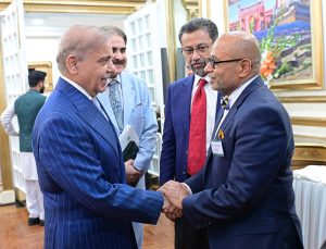 A U.S. Congressional delegation calls on Prime Minister Muhammad Shehbaz Sharif