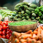 Vegetable cultivation launched on state land
