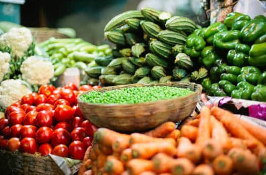 Vegetable cultivation launched on state land