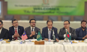D-8 Secretary General stresses private sector's central role in enhancing Intra-D-8 trade