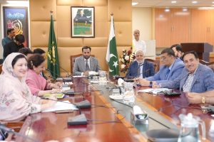 Govt committed to making Pakistan hepatitis-free: Mustafa