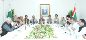 IPP finalises strategy for AJK, GB local elections, reiterates solidarity with security forces