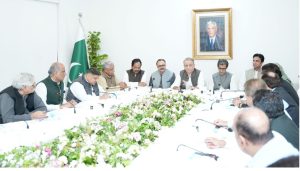 IPP finalises strategy for AJK, GB local elections, reiterates solidarity with security forces