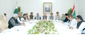 IPP finalises strategy for AJK, GB local elections, reiterates solidarity with security forces