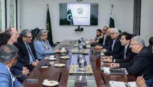 Ali Pervaiz holds meetings with international energy companies to expand investment, cooperation