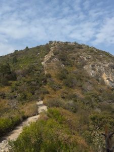 Reckless visitors threaten Margalla hills' ecosystem, warn hikers