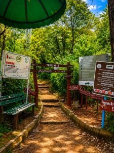 Reckless visitors threaten Margalla hills' ecosystem, warn hikers