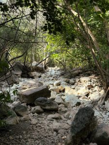 Reckless visitors threaten Margalla hills' ecosystem, warn hikers