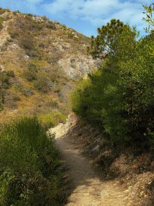 Reckless visitors threaten Margalla hills' ecosystem, warn hikers