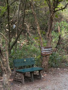 Reckless visitors threaten Margalla hills' ecosystem, warn hikers