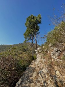 Reckless visitors threaten Margalla hills' ecosystem, warn hikers