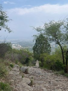 Reckless visitors threaten Margalla hills' ecosystem, warn hikers