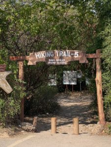 Hikers plead to protect Margalla Hills' flora and fauna