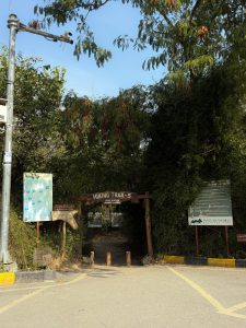 Reckless visitors threaten Margalla hills' ecosystem, warn hikers