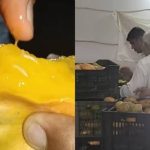 rotten mangoes