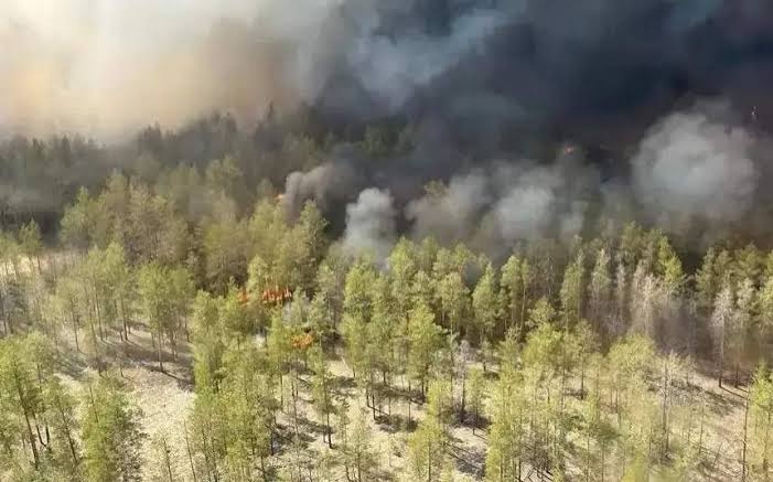Wildfires-Heatwave