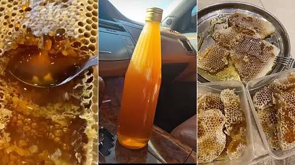 honey harvest