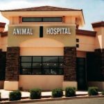 Veterinary-Inspection