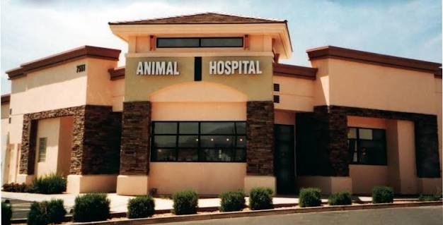 Veterinary-Inspection