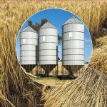 Punjab-wheat-storage