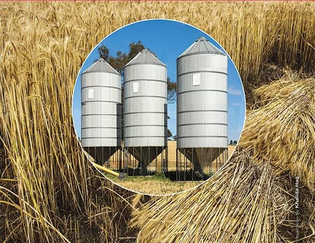 Punjab-wheat-storage