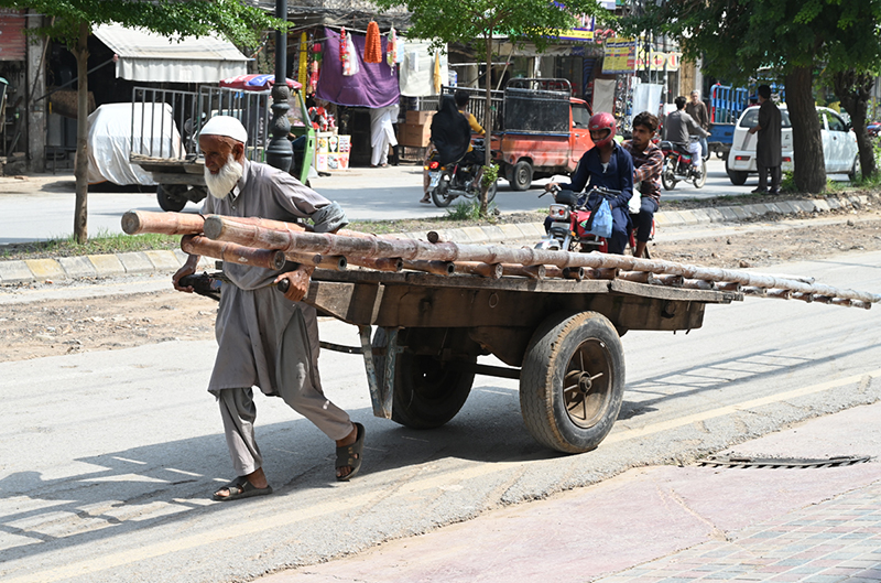 An elderly man pulls a handcart loaded with bamboo poles through a street