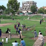 People playing volleyball in a lush green area along the expressway during the evening