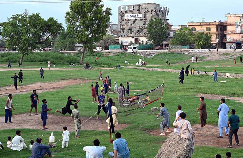 People playing volleyball in a lush green area along the expressway during the evening